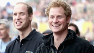 Zien: vechtende prins William en prins Harry