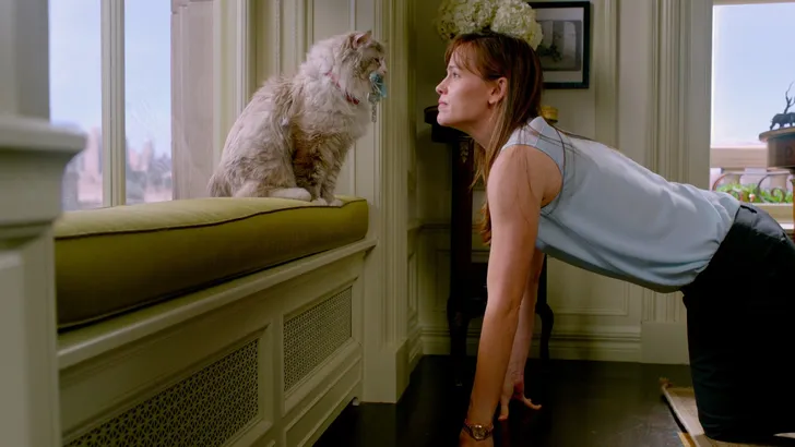 24 Bewijzen dat je een crazy cat lady bent