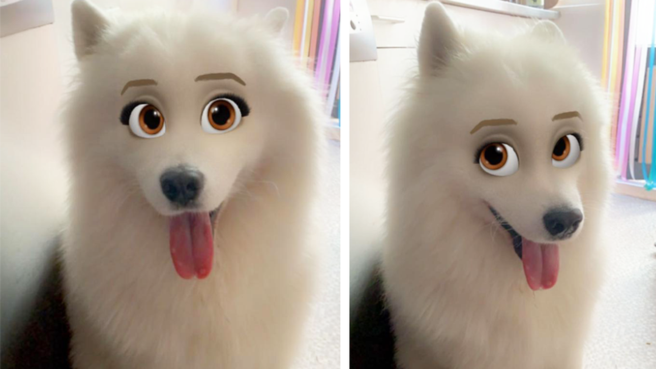 uitdrukken Ochtend plug OMG! Dit snapchat-filter maakt van je hond een Disney-doggo | Upcoming