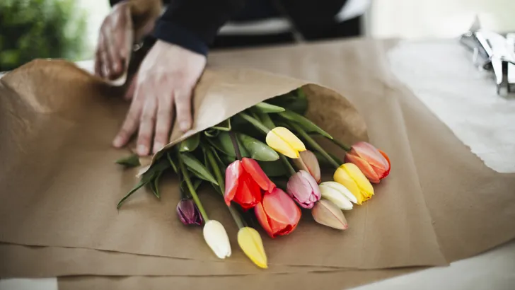 Tulpen: handige tips