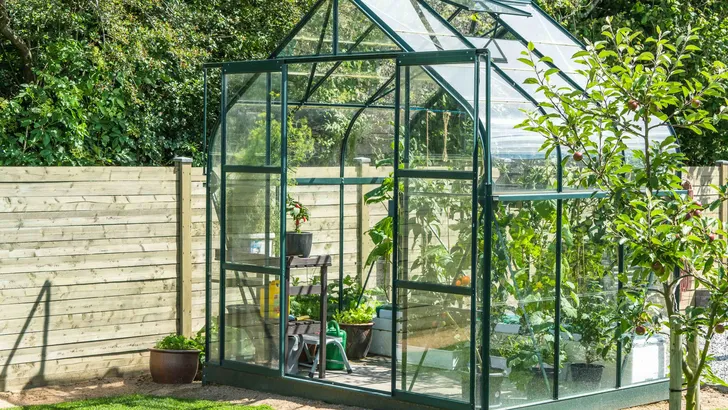 Moestuin