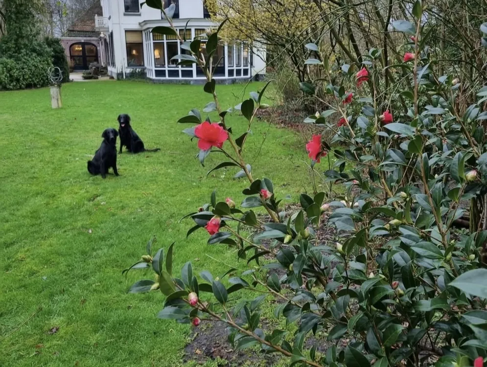 Foto 2 van De Jufferen Lunsingh