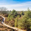 9x de mooiste wandelingen in Drenthe, Friesland en Groningen | Noorderland