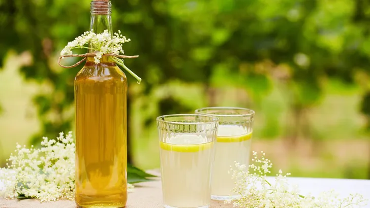 Two glasses of elderflower lemonade and bottle of homemade syrup