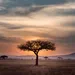 Afrika